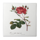Recherche de bourgogne et rose carreaux Roses
