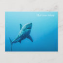 Recherche de tueur posters Requin
