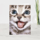 Zoek naar grappige kattenkaarten kaarten Schattig