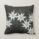 Recherche de edelweiss coussins Fleurs