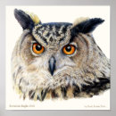 Recherche de ornithologie posters Aquarelle