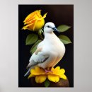 Zoek naar witte duif posters Vogel