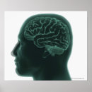 Recherche de tête humaine posters Image