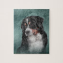Recherche de chien de montagne bernese puzzles Mignon