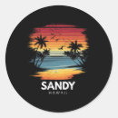 Recherche de hawaii surf autocollants Été