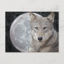 Recherche de lune de loup cartes postales Lunaire