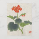 Recherche de fleur asiatique cartes postales Vintage