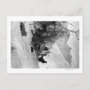Recherche de explorateur cartes postales Camp
