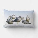Recherche de mouettes coussins Goéland
