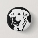 Recherche de extracteur badges Laboratoire