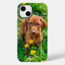 Recherche de bébé chien iphone coques Canine