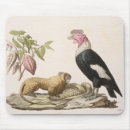 Recherche de humboldt tapis souris Alexandre