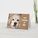 Recherche de chien toutes vœux cartes Photographie