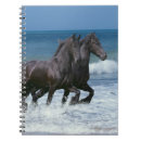 Recherche de cheval frison bureau école Frisons