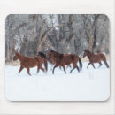 Recherche de courant tapis souris Quarter horse