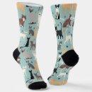 Recherche de siamois vêtements Tabby