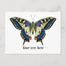 Recherche de peinture de papillon cartes postales Pour elle