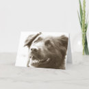 Recherche de bouffe vœux cartes Chien