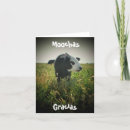 Zoek naar grappige koeien kaarten Dieren