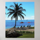 Recherche de belize photographie Tropical