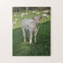 Recherche de veaux puzzles Pour tous