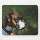 Recherche de profil tapis souris Chien