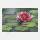 Recherche de nénuphar cuisine linges Nature