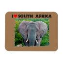 Recherche de éléphants magnets Afrique