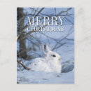 Recherche de lapin neige vœux cartes Animaux mignons