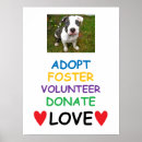 Zoek naar adoptie posters Redding