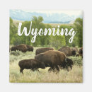 Zoek naar wyoming magneten Buffel