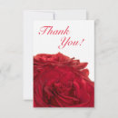 Recherche de arrière plan blanc vœux cartes Rouge