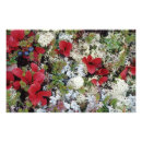 Recherche de toundra posters Nature