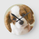 Recherche de épagneul horloges Chiens