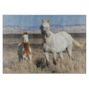 Recherche de poulain planches à découper Chevaux