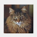 Recherche de brouillé magnets Mignon