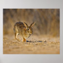 Recherche de eastern posters Ie