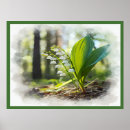 Zoek naar lelie bloemen posters Floreel