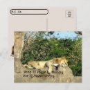 Zoek naar slap briefkaarten Foto