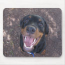 Zoek naar rottweilers muismatten Puppy