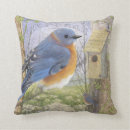 Zoek naar vogel lied Huis