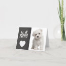 Zoek naar hello kaarten Liefde