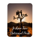 Zoek naar tree magneten Zonsondergang