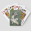 Recherche de mort jeux de cartes Crâne