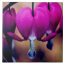 Recherche de coeur floral carreaux Nature