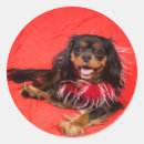 Zoek naar lichtbruine stickers Huisdier