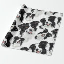 Recherche de border collie papier cadeau Canin