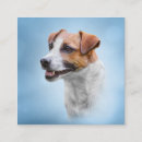 Recherche de clipart cartes visite Chien