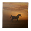 Zoek naar horse tegels Paard