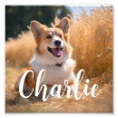 Recherche de souvenir animaux articles Pour elle